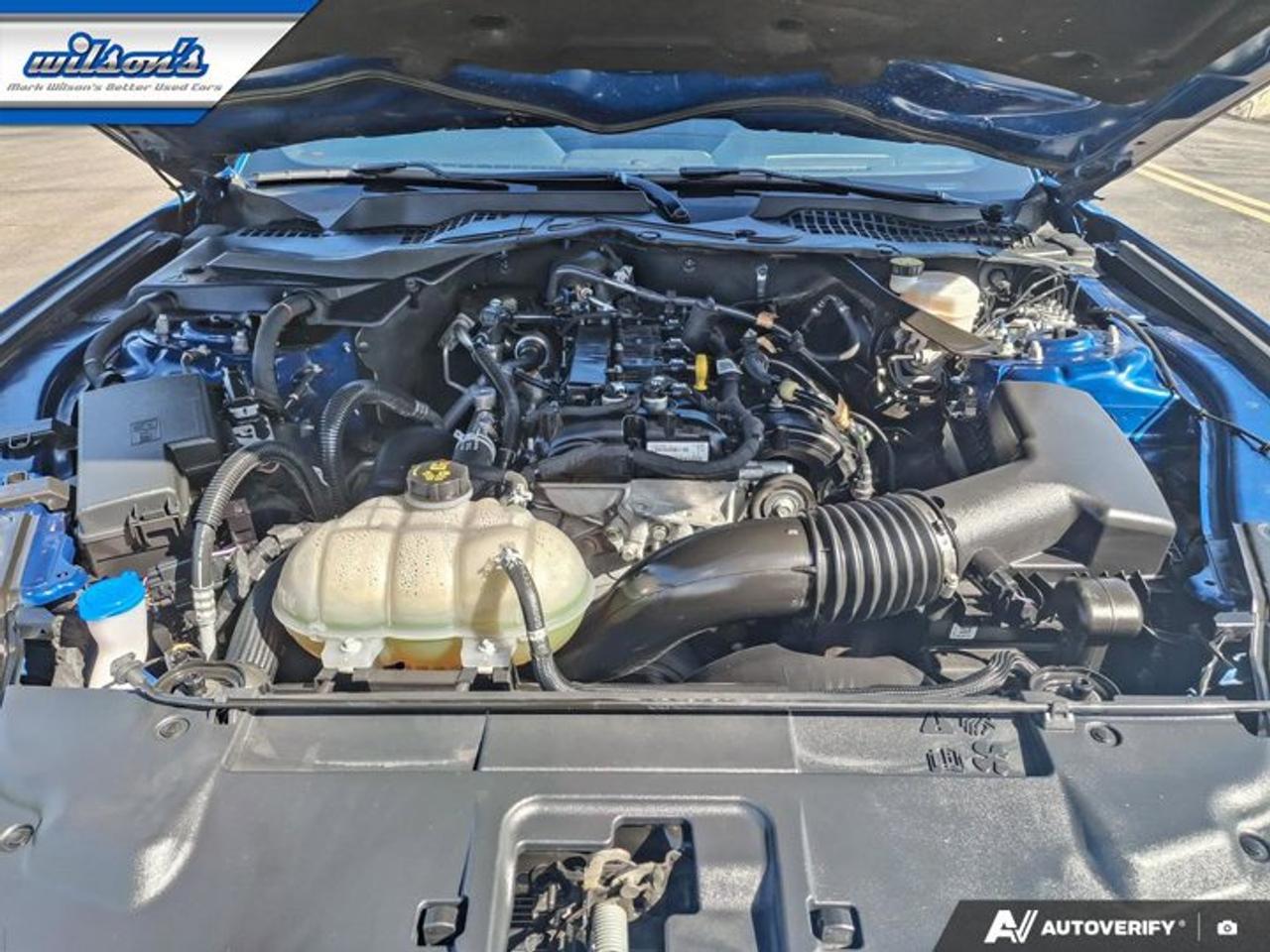 2022 Ford Mustang EcoBoost Premium Convertible | Manual | 101A Group | Active Valve Exhaust | Reverse Camera | Photo