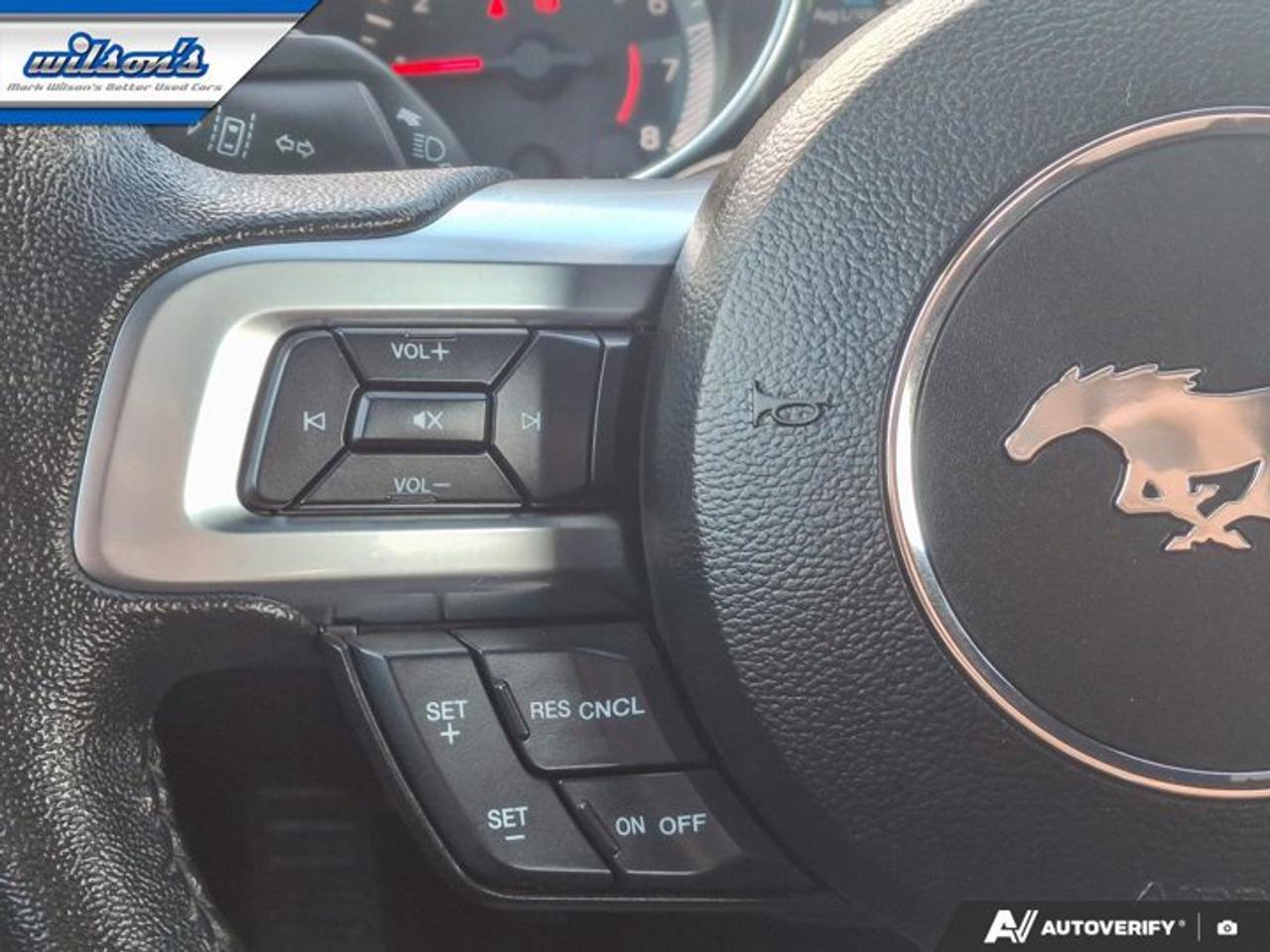 2022 Ford Mustang EcoBoost Premium Convertible | Manual | 101A Group | Active Valve Exhaust | Reverse Camera | Photo