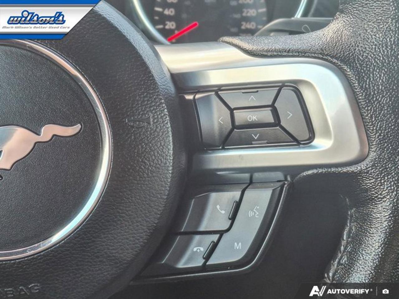 2022 Ford Mustang EcoBoost Premium Convertible | Manual | 101A Group | Active Valve Exhaust | Reverse Camera | Photo