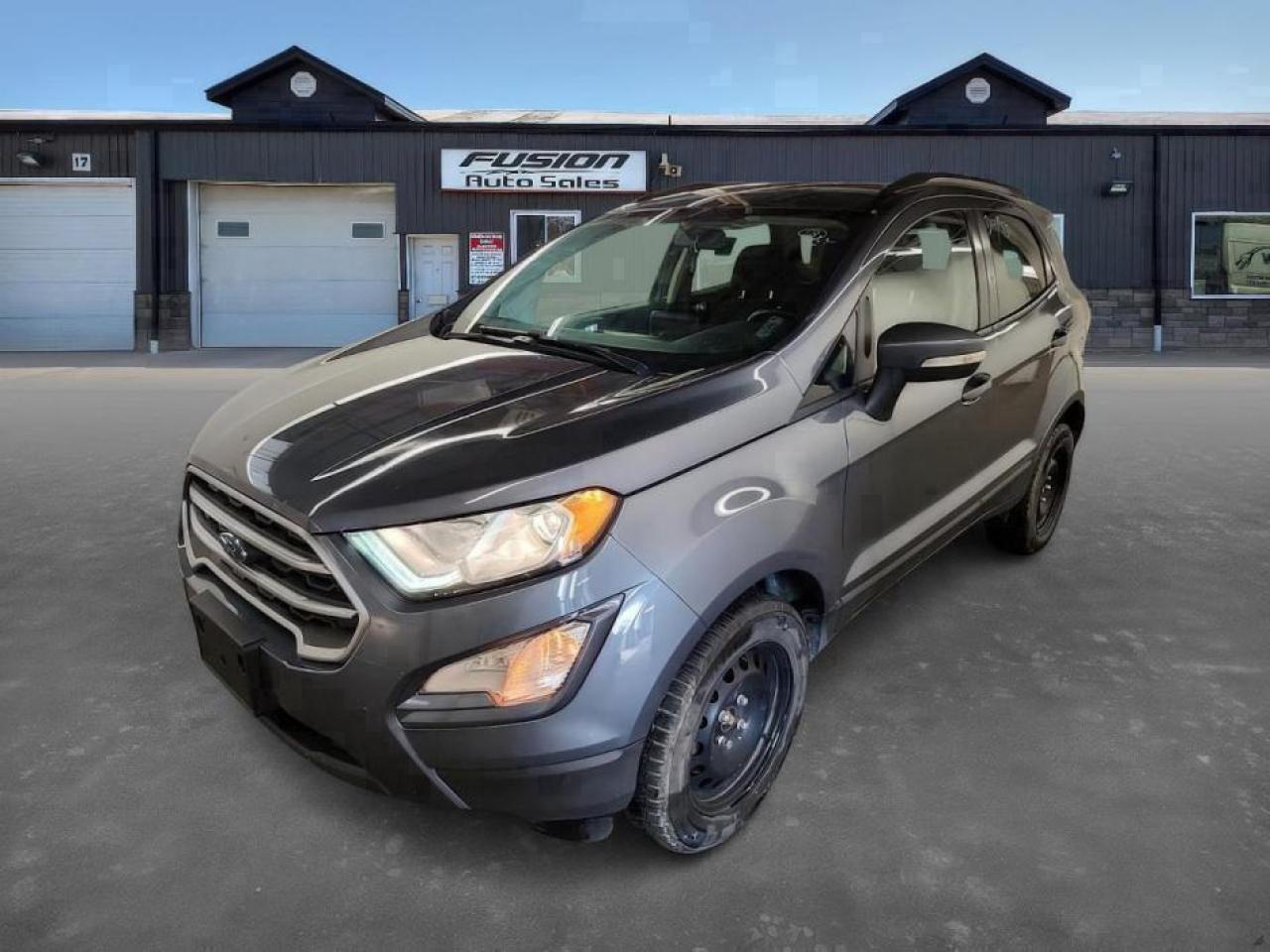 Used 2018 Ford EcoSport SE 4WD for sale in Tilbury, ON