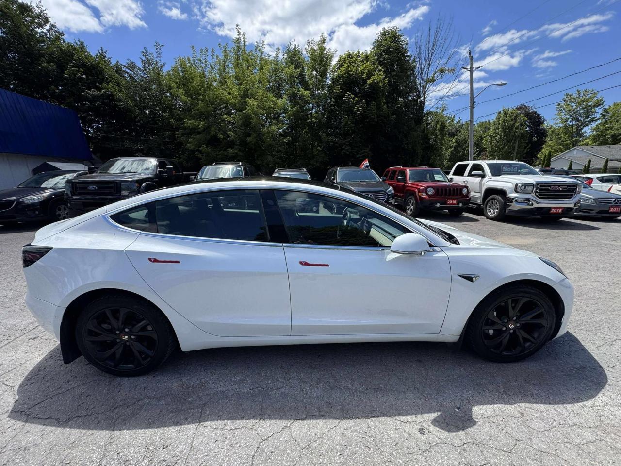 2019 Tesla Model 3 STANDARD RANGE PLUS - Photo #9