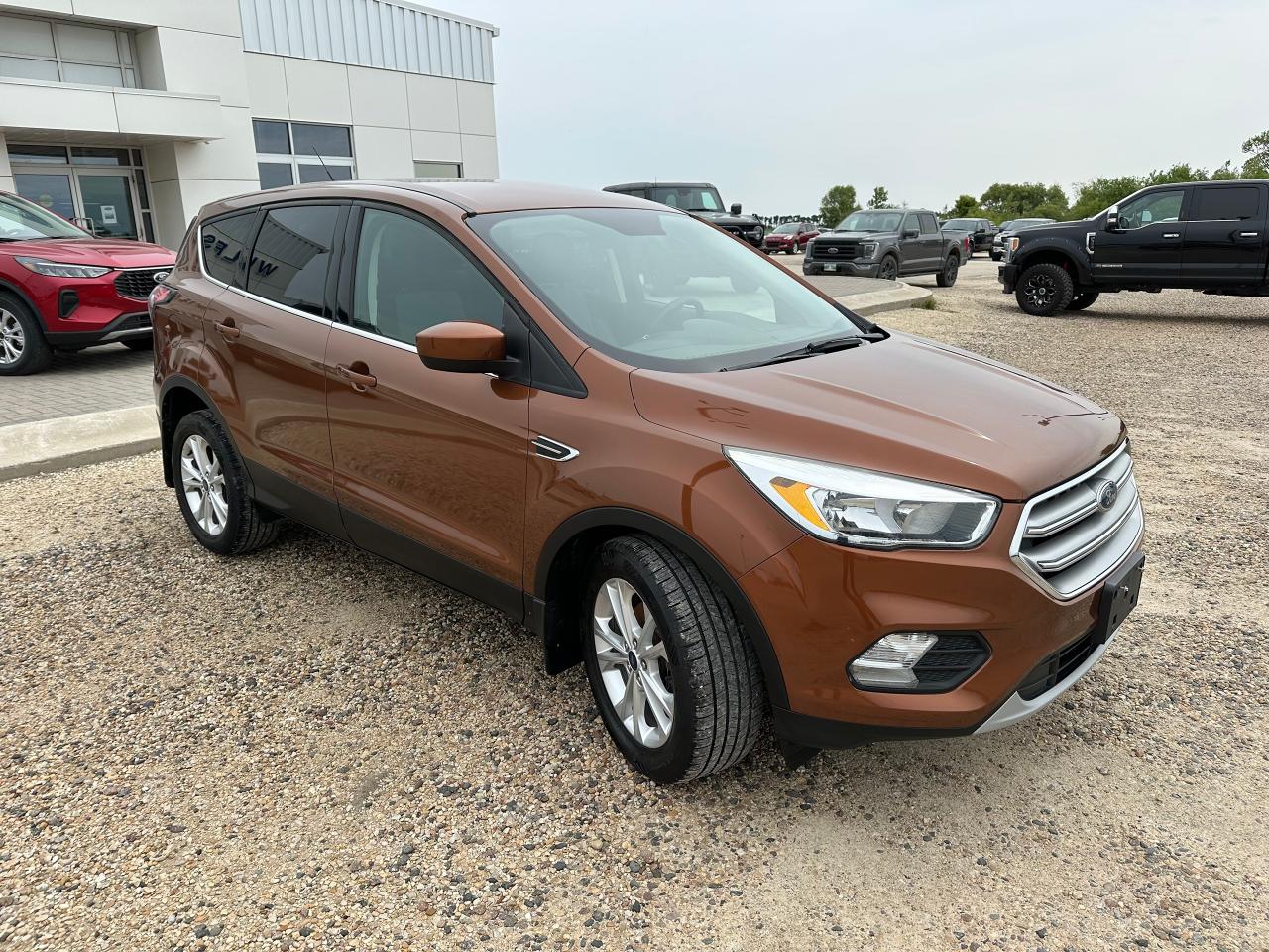 2017 Ford Escape FWD 4dr SE Photo2