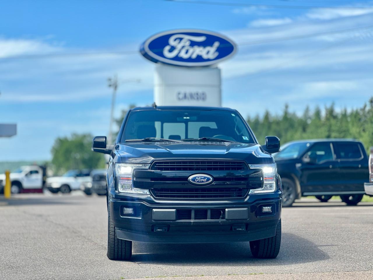 2020 Ford F-150  Photo