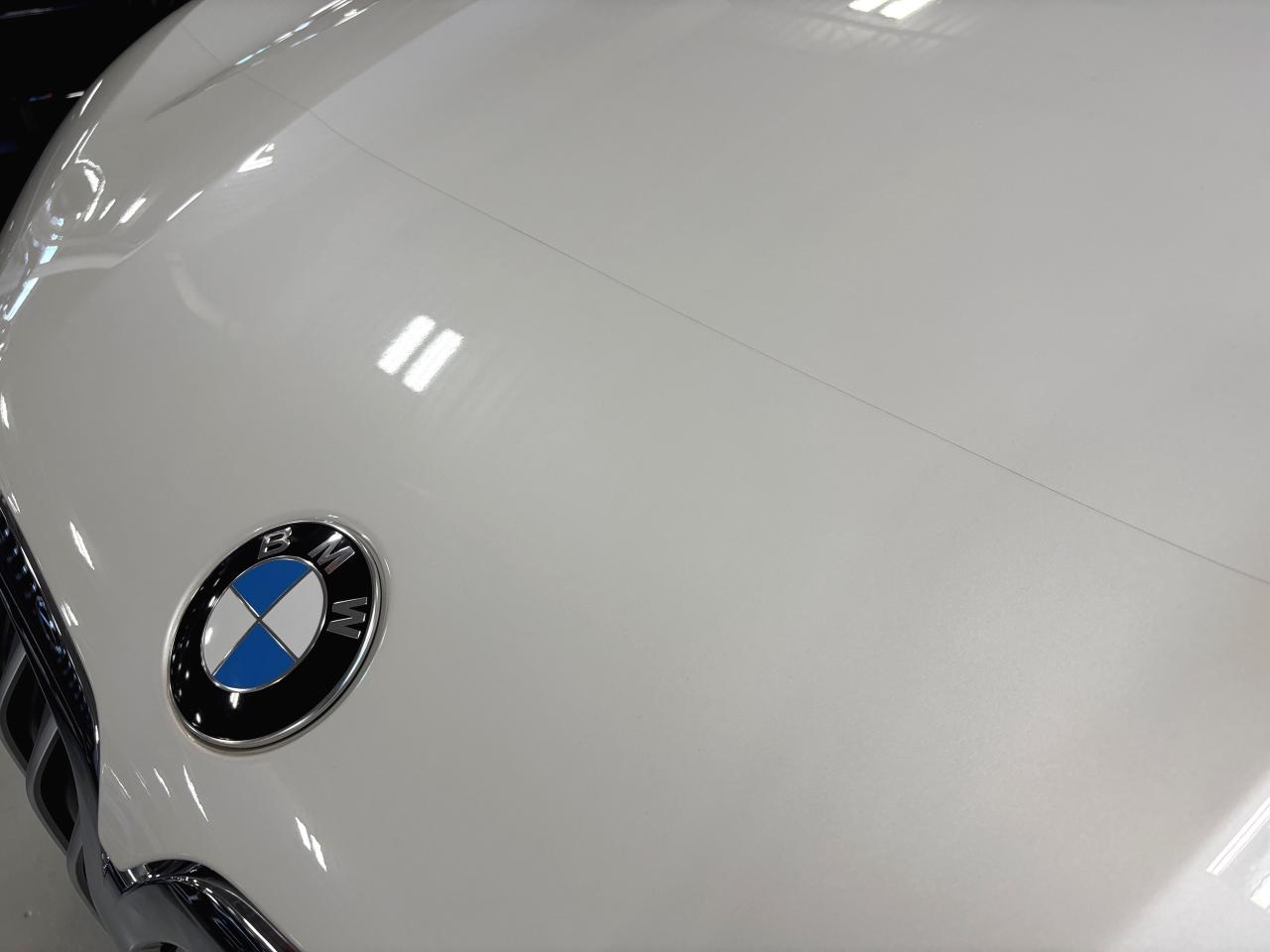 2019 BMW X7 xDrive40i|INDIVIDUAL|NAV|HEADSUP|3DCAM|7PASSENGER| Photo2