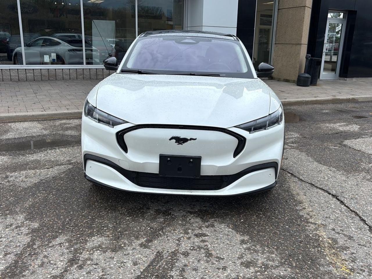 2024 Ford Mustang Mach-E Premium Photo1