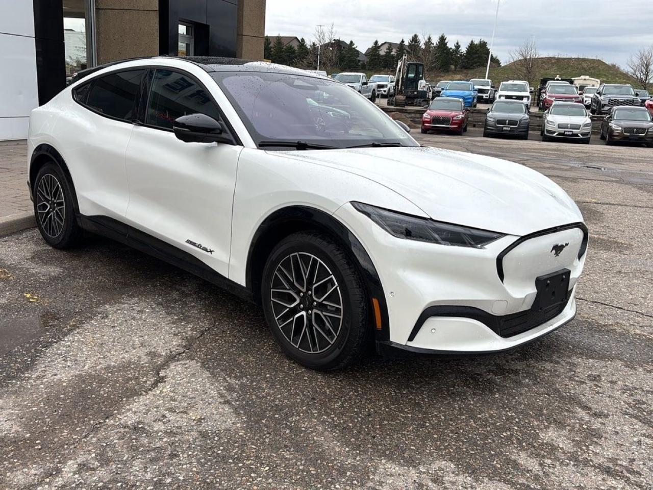 2024 Ford Mustang Mach-E Premium Photo