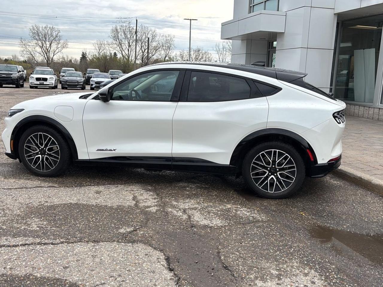 2024 Ford Mustang Mach-E Premium Photo5