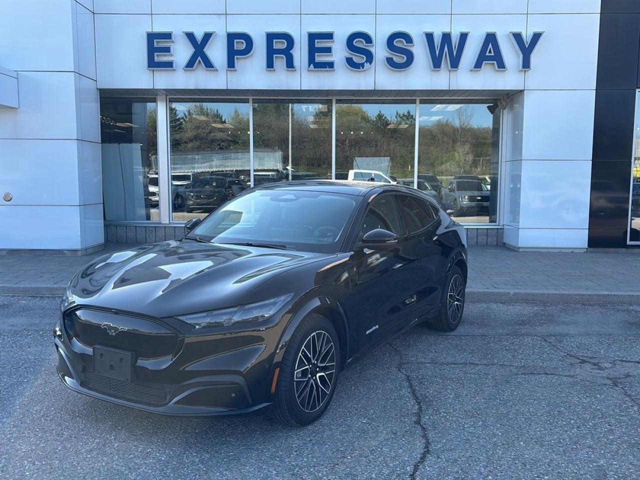 Used 2024 Ford Mustang Mach-E Premium for sale in Stratford, ON