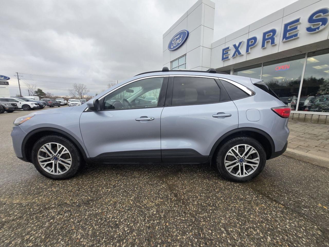 2022 Ford Escape SEL Hybrid Photo5