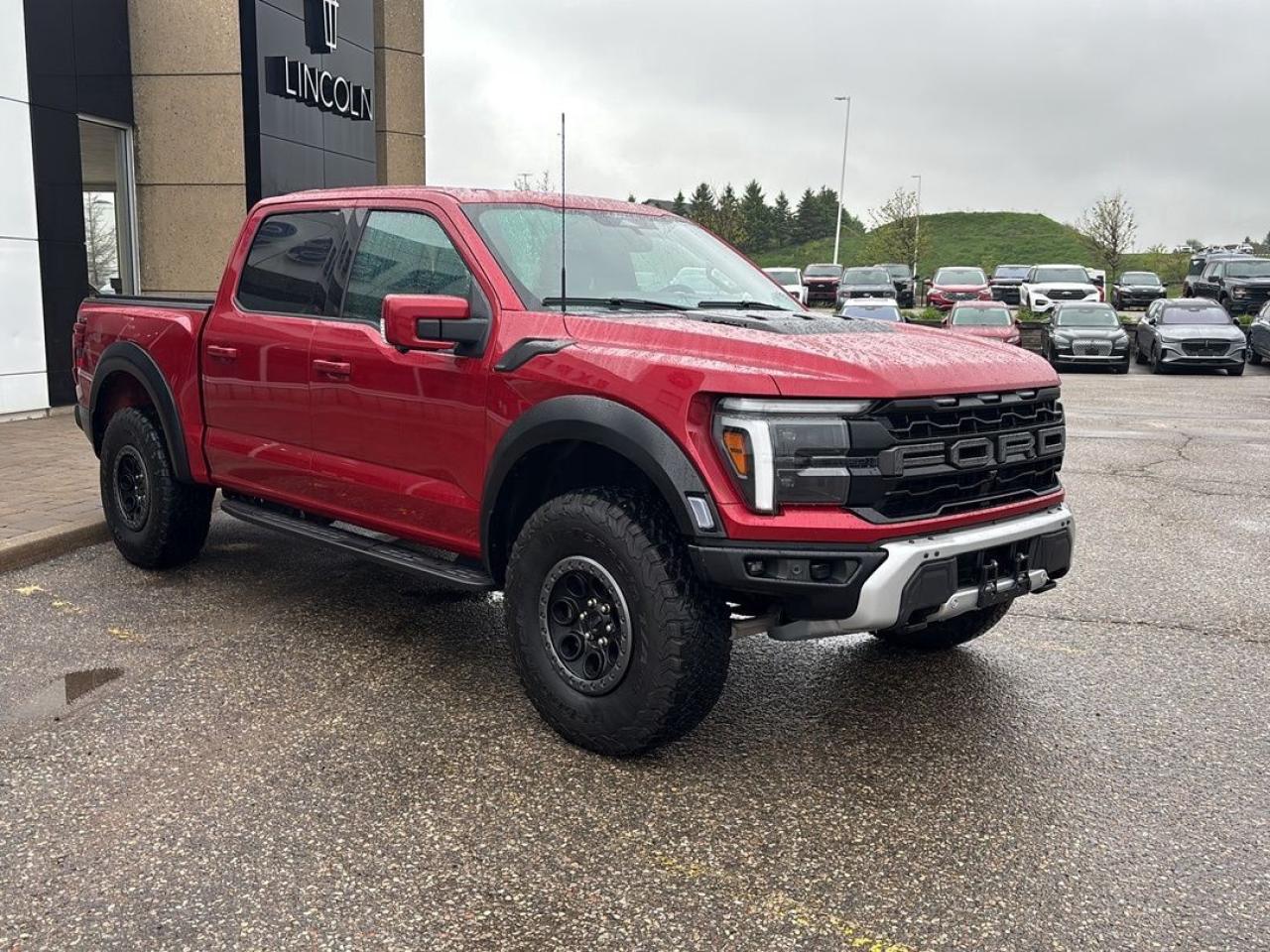 2024 Ford F-150 RAPTOR Photo2