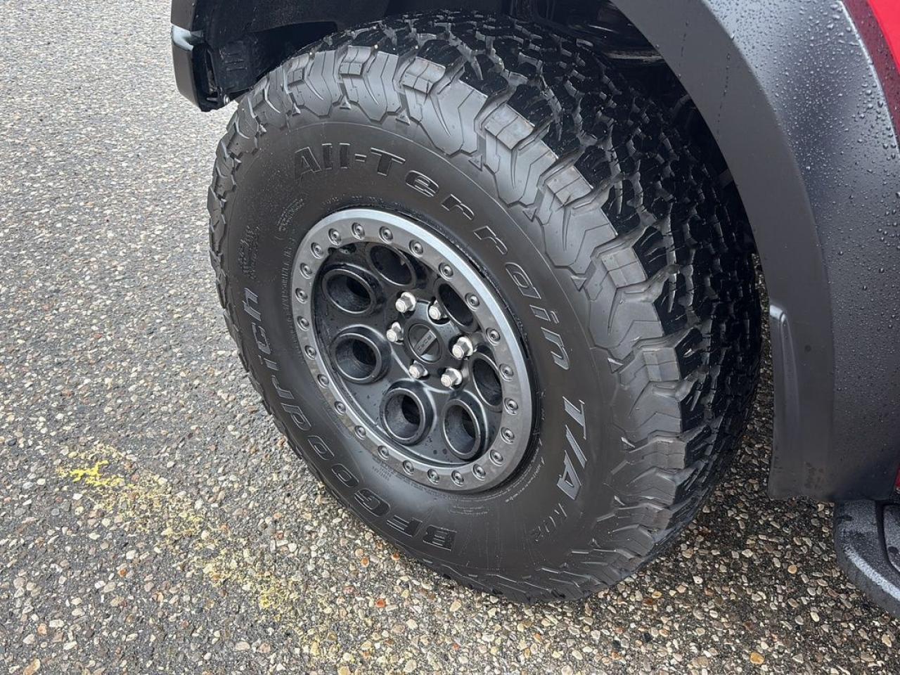 2024 Ford F-150 RAPTOR Photo5