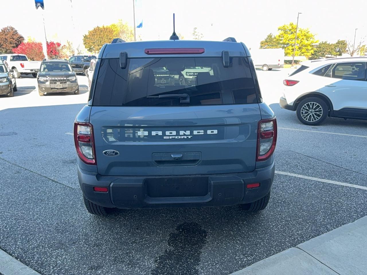 Image 5