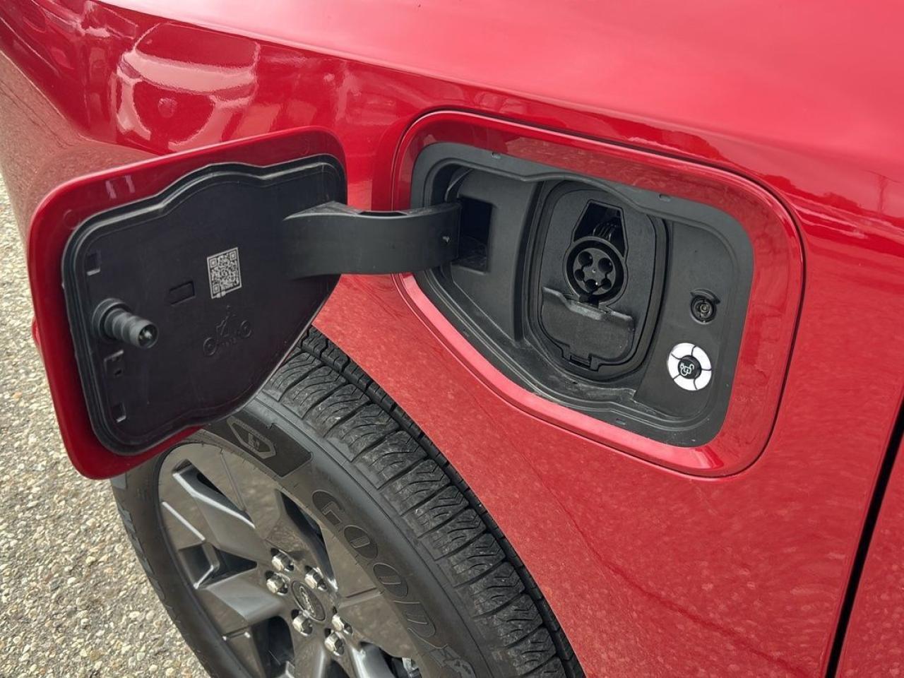 2024 Ford F-150 Lightning Lariat Photo5