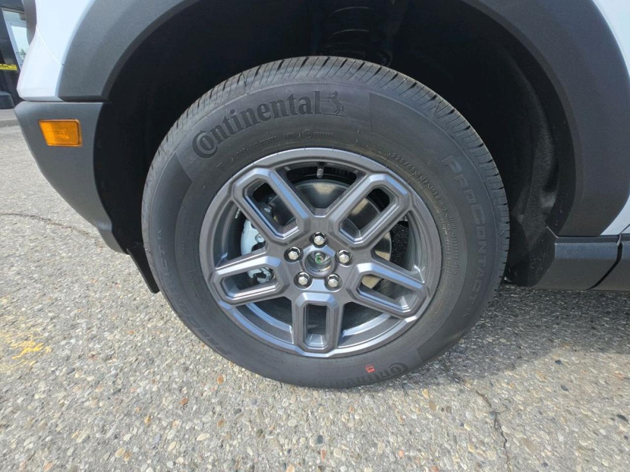 12780446