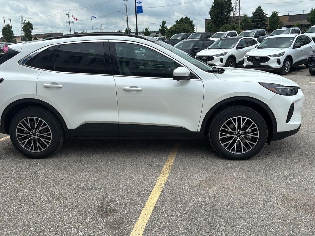 2025 Ford Escape PHEV, PREMIUM PKG, PANORAMIC ROOF Photo3