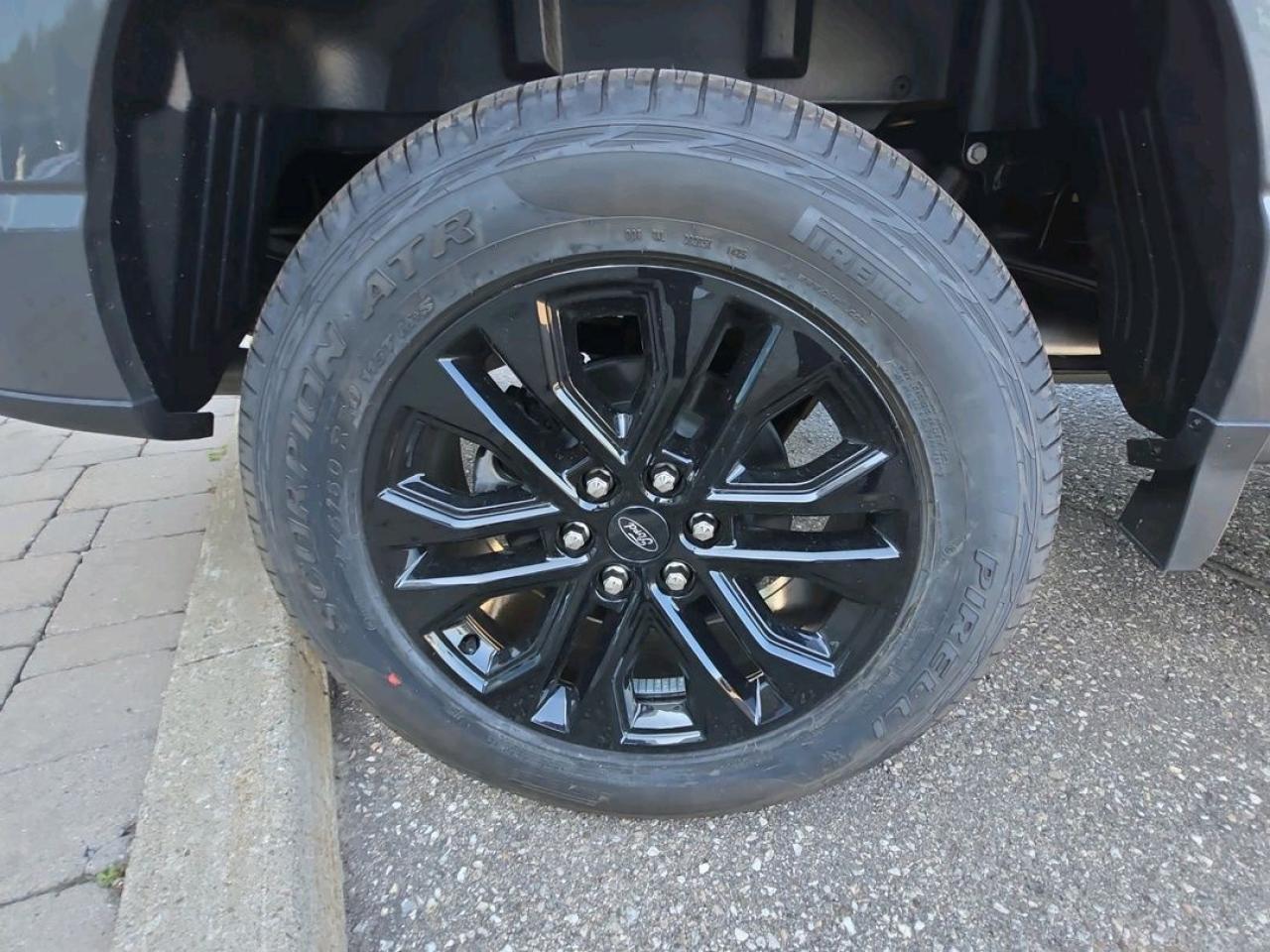 2025 Ford F-150 XLT, PANORAMIC ROOF, BLACK APPEARANCE PKG PLUS Photo3