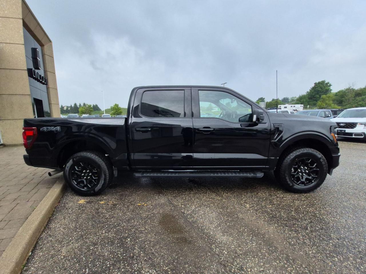 2025 Ford F-150 XLT 4WD SuperCrew 5.5' Box Photo3