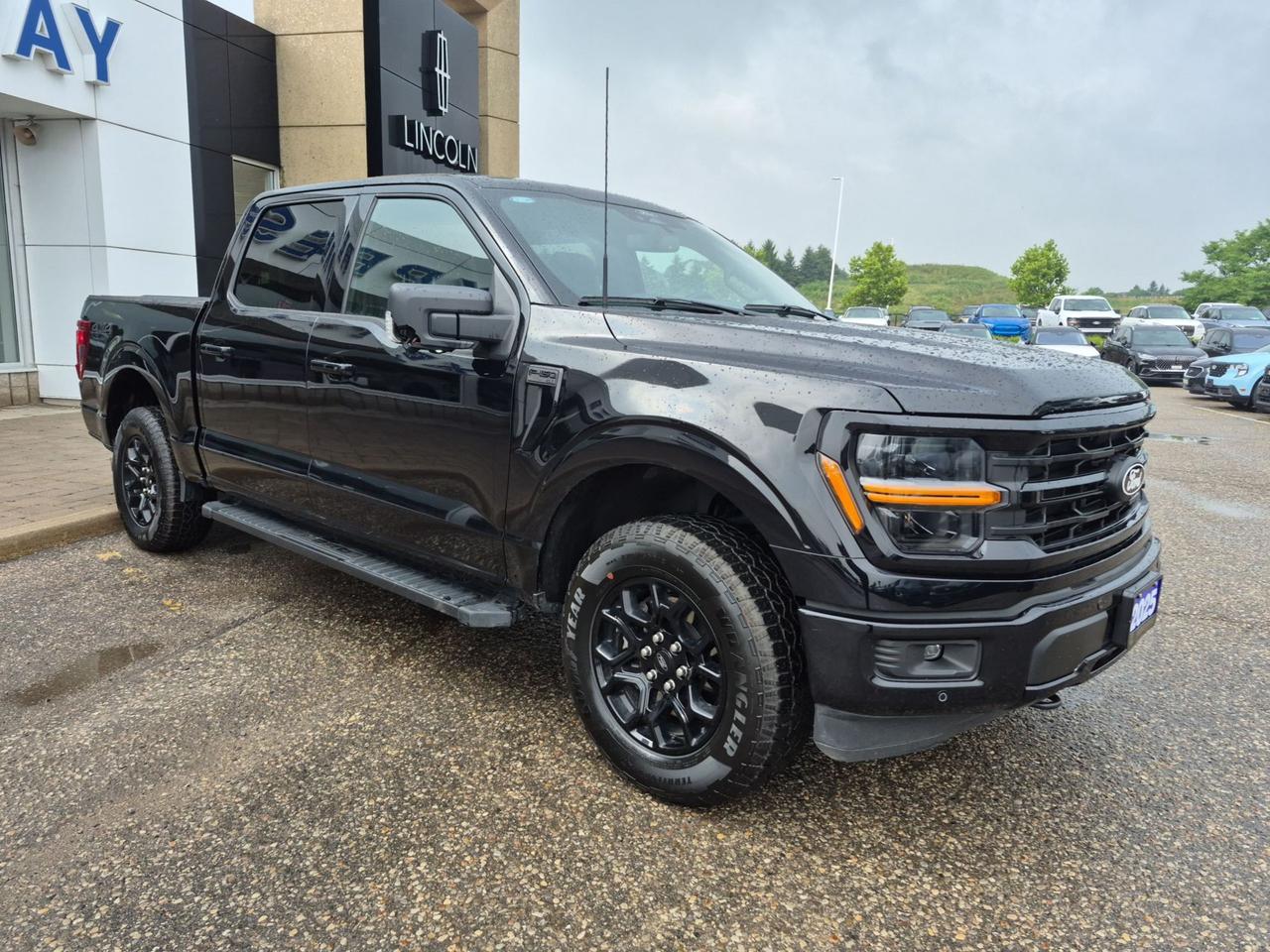 2025 Ford F-150 XLT 4WD SuperCrew 5.5' Box Photo2