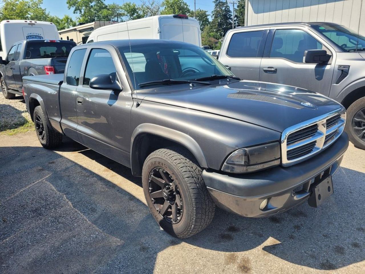 2004 Dodge Dakota Sport Photo10