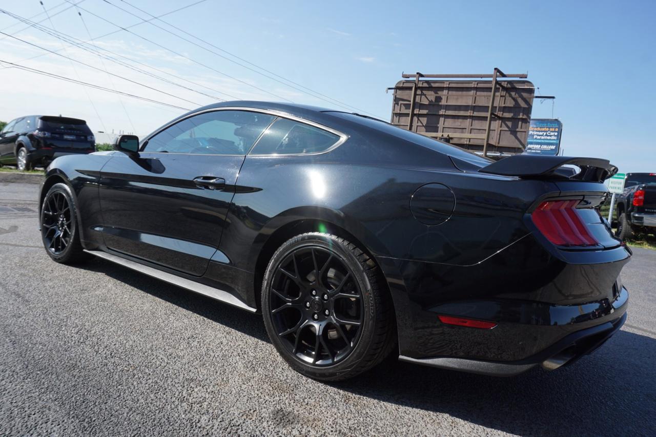 2019 Ford Mustang FASTBACK ECO 6Speed/Shift CERTIFIED *ACCIDENT FEE* CAMERA BLUETOOTH CRUISE ALLOYS - Photo #4