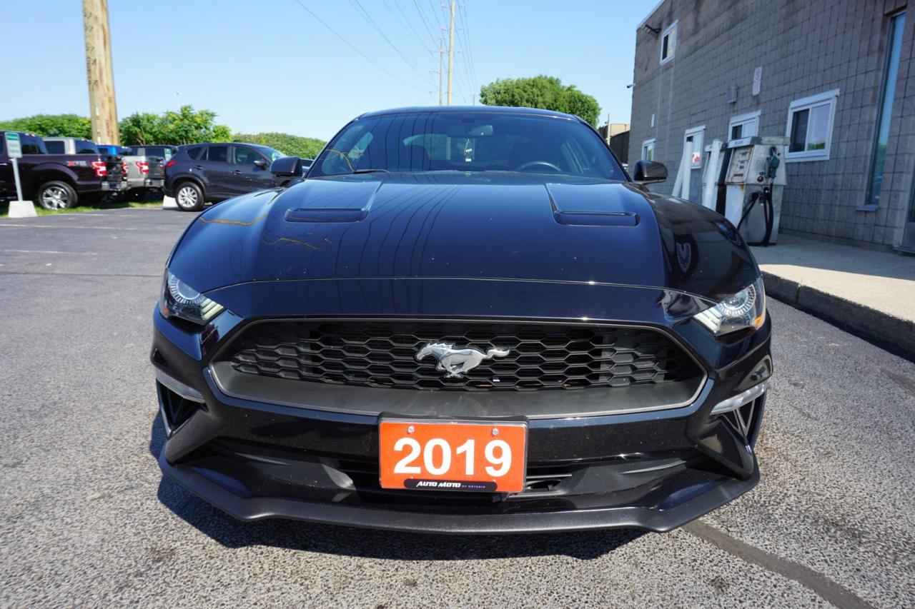2019 Ford Mustang FASTBACK ECO 6Speed/Shift CERTIFIED *ACCIDENT FEE* CAMERA BLUETOOTH CRUISE ALLOYS - Photo #2