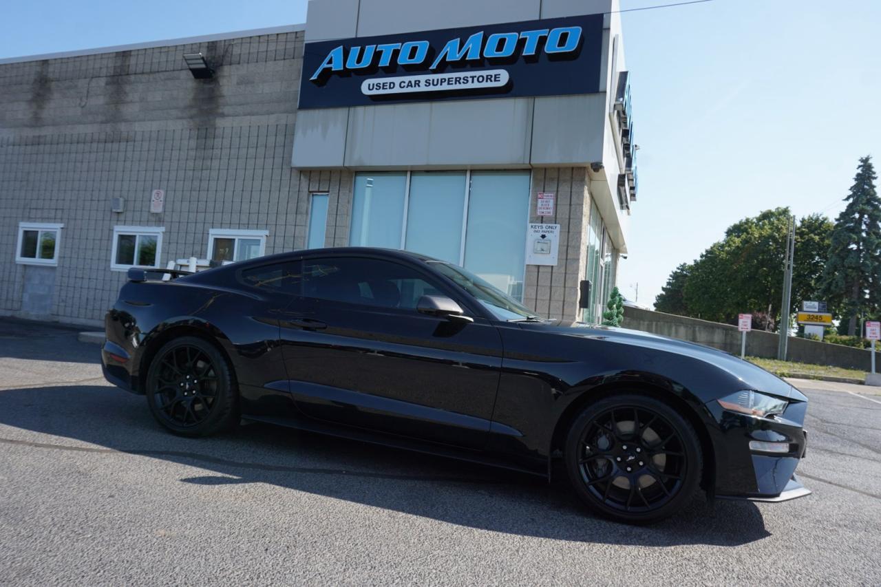Used 2019 Ford Mustang FASTBACK ECO 6Speed/Shift CERTIFIED *ACCIDENT FEE* CAMERA BLUETOOTH CRUISE ALLOYS for sale in Burlington, ON