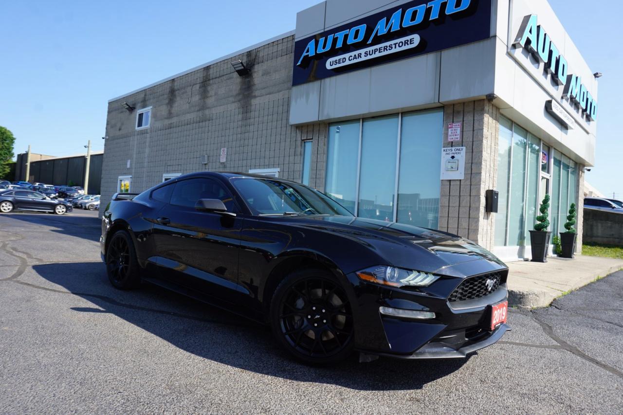 2019 Ford Mustang FASTBACK ECO 6Speed/Shift CERTIFIED *ACCIDENT FEE* CAMERA BLUETOOTH CRUISE ALLOYS - Photo #8
