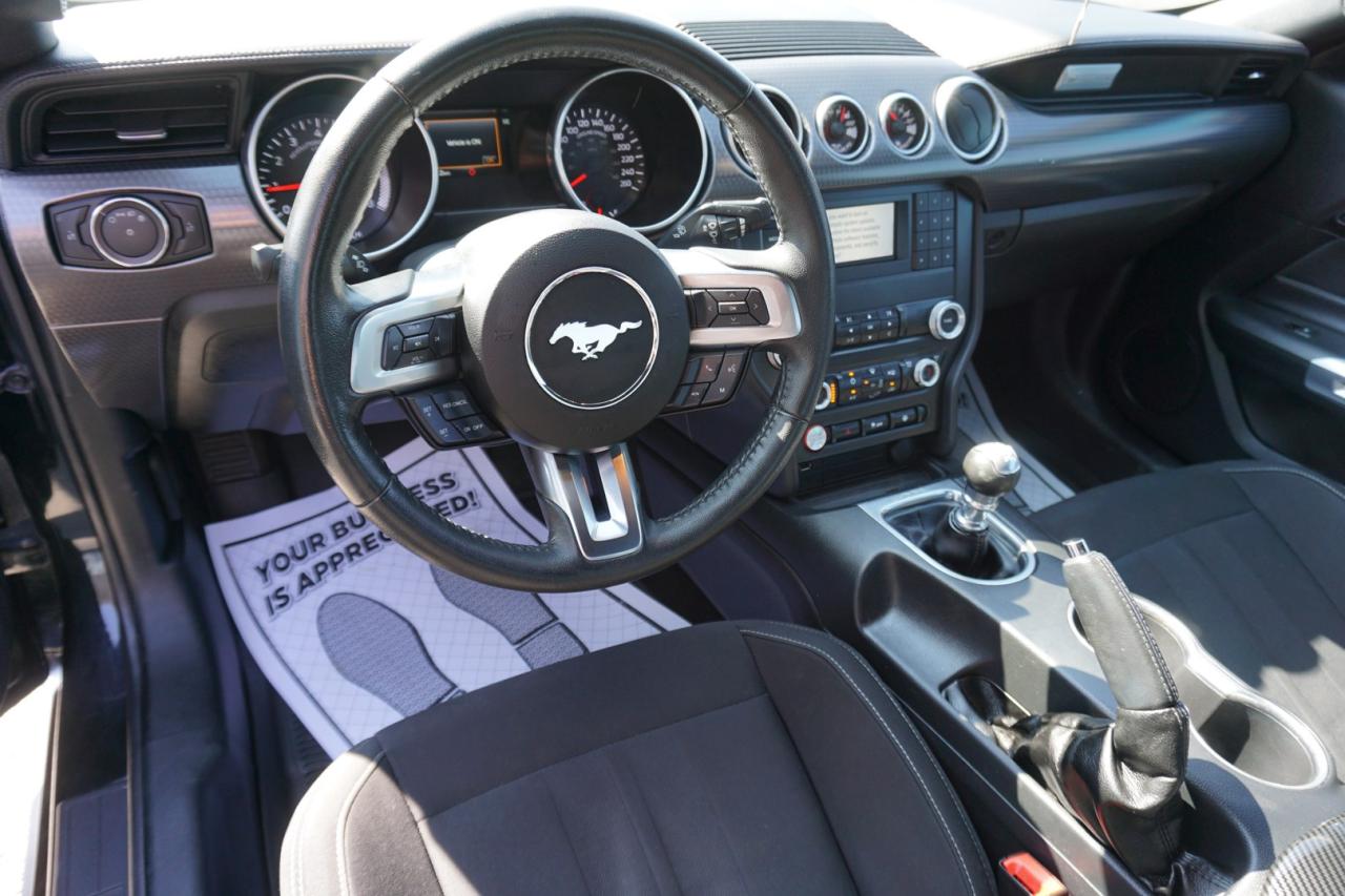 2019 Ford Mustang FASTBACK ECO 6Speed/Shift CERTIFIED *ACCIDENT FEE* CAMERA BLUETOOTH CRUISE ALLOYS - Photo #9