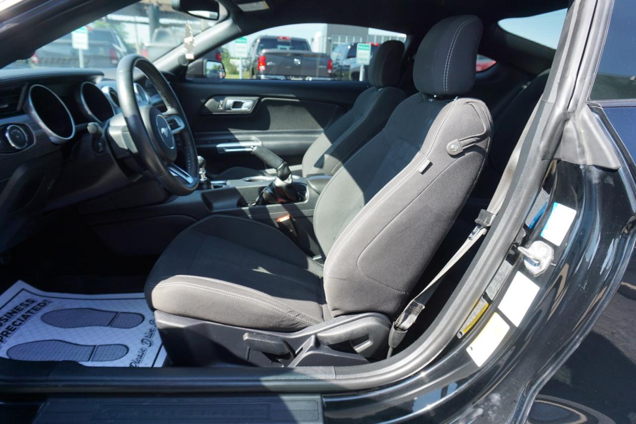 2019 Ford Mustang FASTBACK ECO 6Speed/Shift CERTIFIED *ACCIDENT FEE* CAMERA BLUETOOTH CRUISE ALLOYS - Photo #13