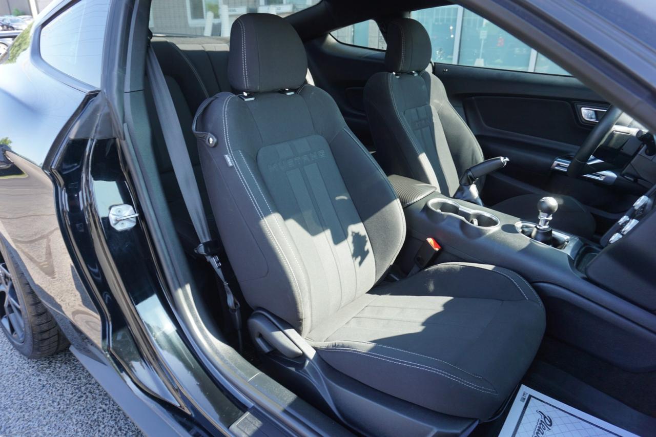2019 Ford Mustang FASTBACK ECO 6Speed/Shift CERTIFIED *ACCIDENT FEE* CAMERA BLUETOOTH CRUISE ALLOYS - Photo #15