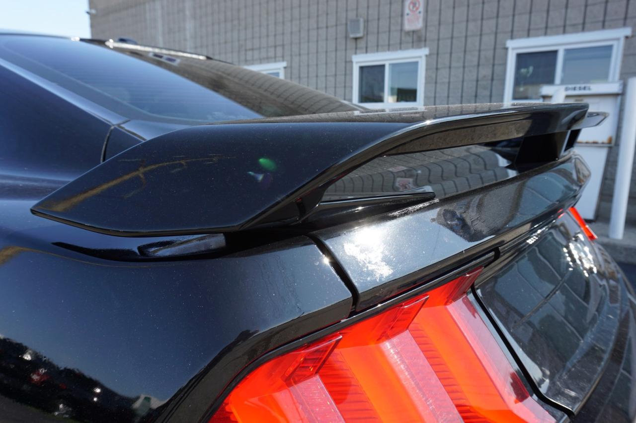 2019 Ford Mustang FASTBACK ECO 6Speed/Shift CERTIFIED *ACCIDENT FEE* CAMERA BLUETOOTH CRUISE ALLOYS - Photo #28