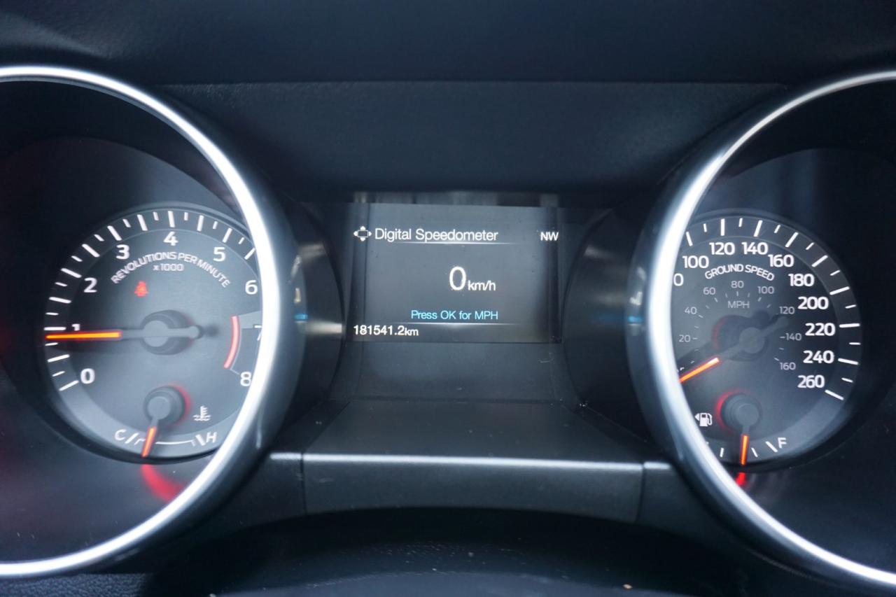 2019 Ford Mustang FASTBACK ECO 6Speed/Shift CERTIFIED *ACCIDENT FEE* CAMERA BLUETOOTH CRUISE ALLOYS - Photo #34