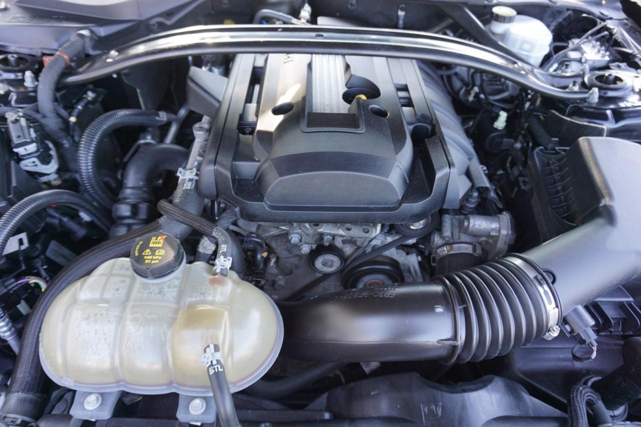 2019 Ford Mustang FASTBACK ECO 6Speed/Shift CERTIFIED *ACCIDENT FEE* CAMERA BLUETOOTH CRUISE ALLOYS - Photo #33