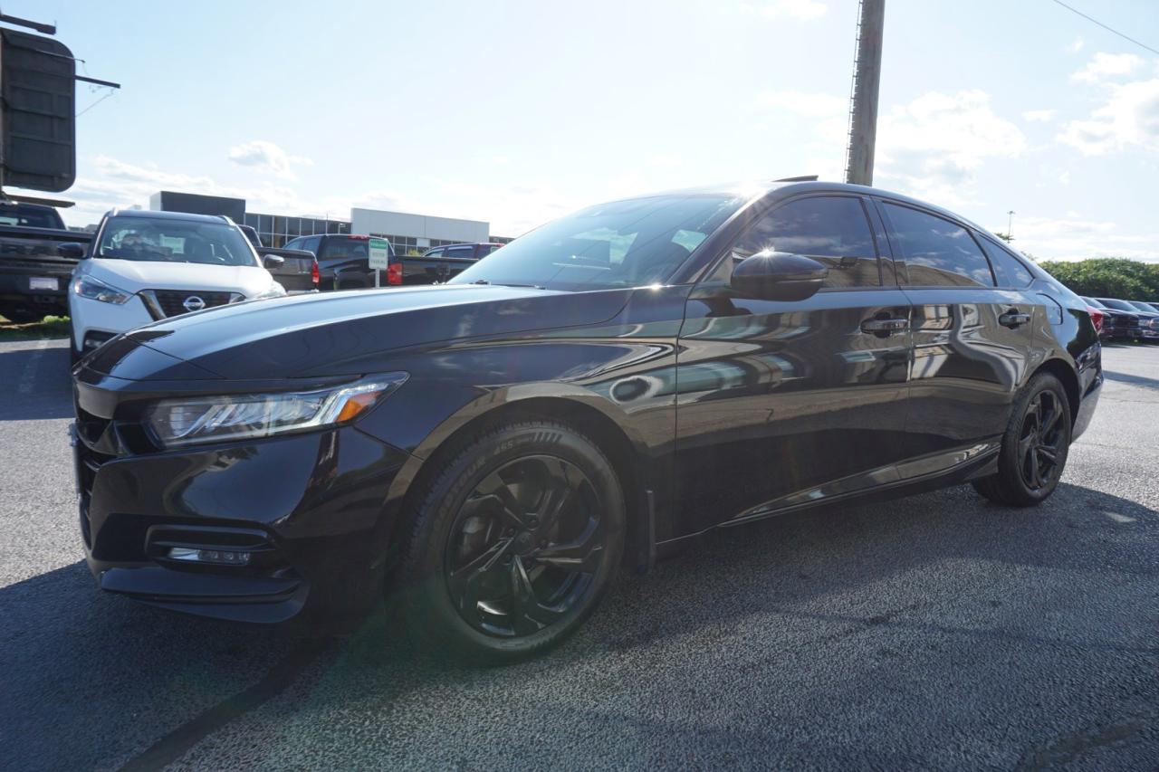 2018 Honda Accord EX-L CERTIFIED *ACCIDENT FREE* CAMERA BLUETOOTH LEATHER HEATED SEATS SUNROOF CRUISE ALLOYS - Photo #3