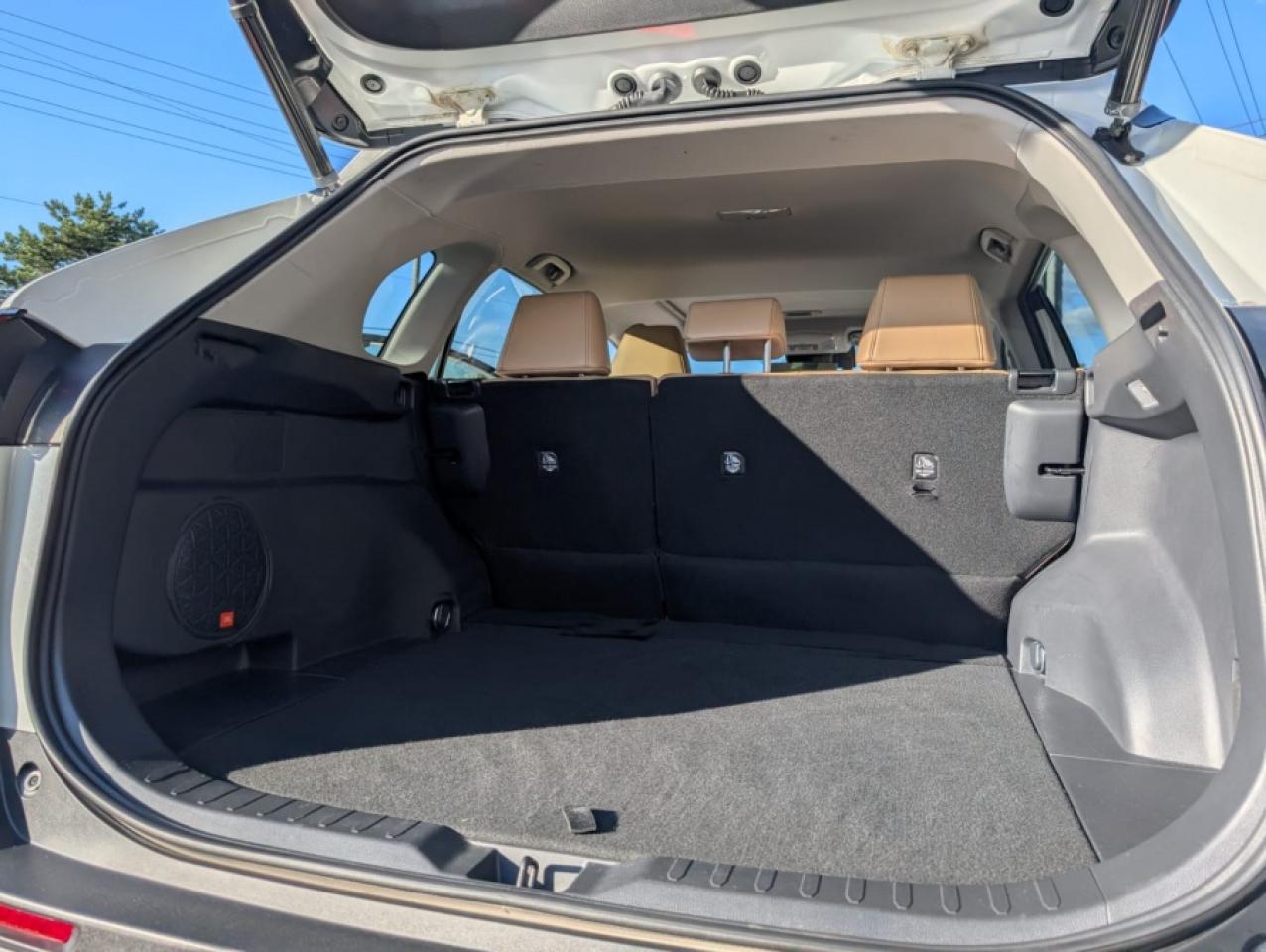 2021 Toyota RAV4 LIMITED  - Photo #9