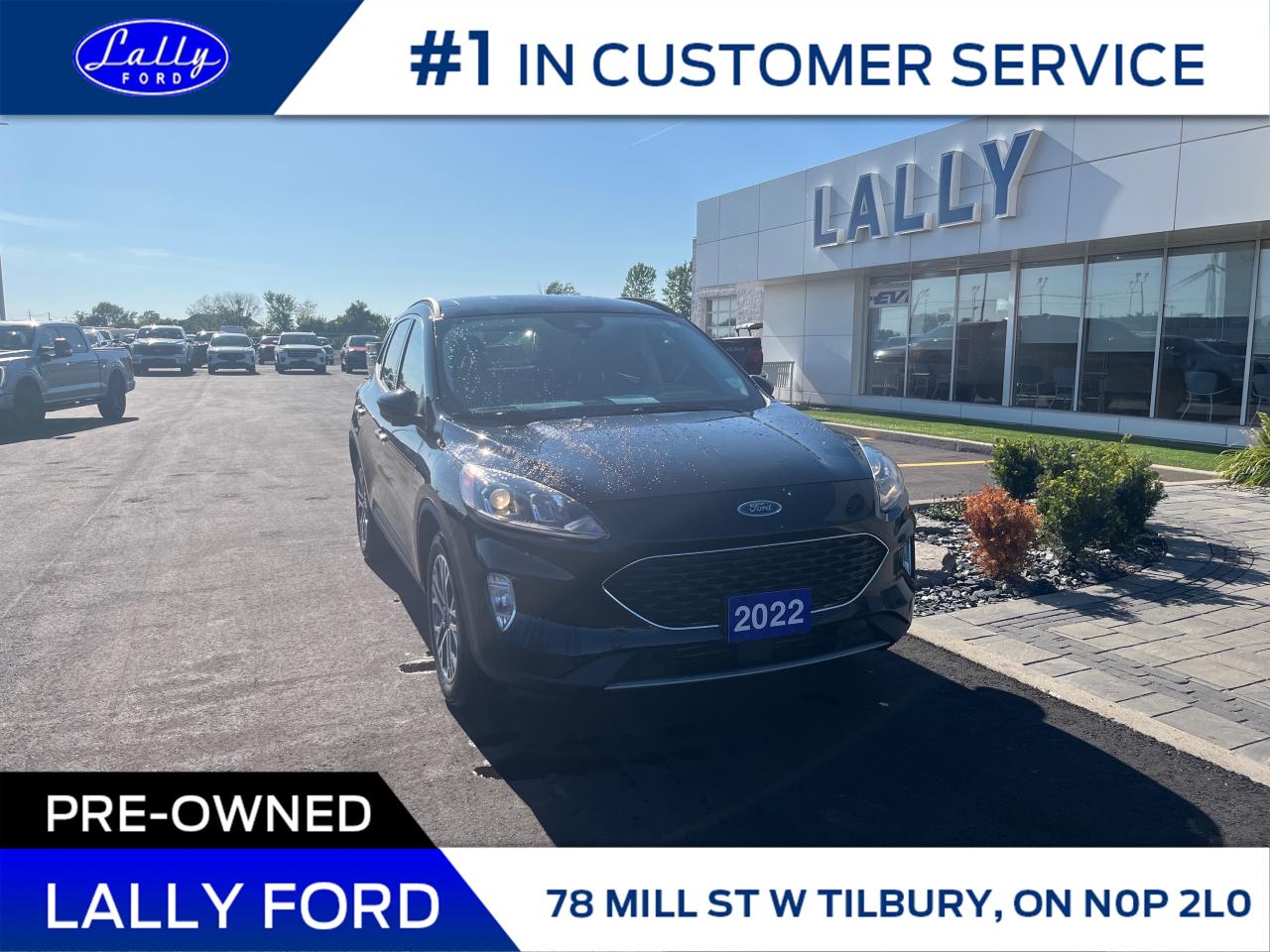 Used 2022 Ford Escape SEL Awd, Moonroof, Nav!! for sale in Tilbury, ON