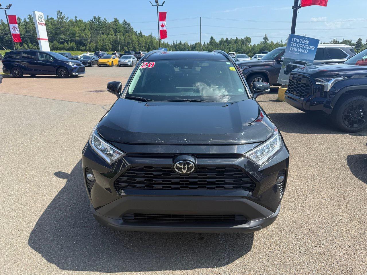2020 Toyota RAV4 XLE Photo
