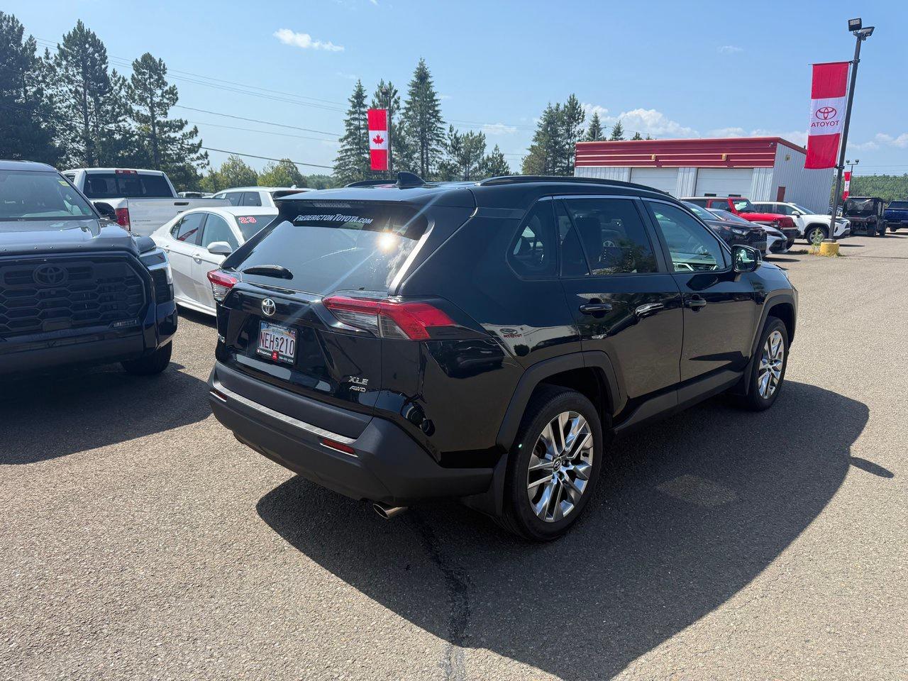 2020 Toyota RAV4 XLE Photo