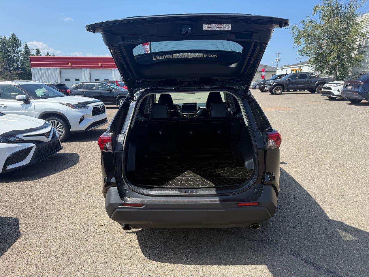 2020 Toyota RAV4 XLE Photo