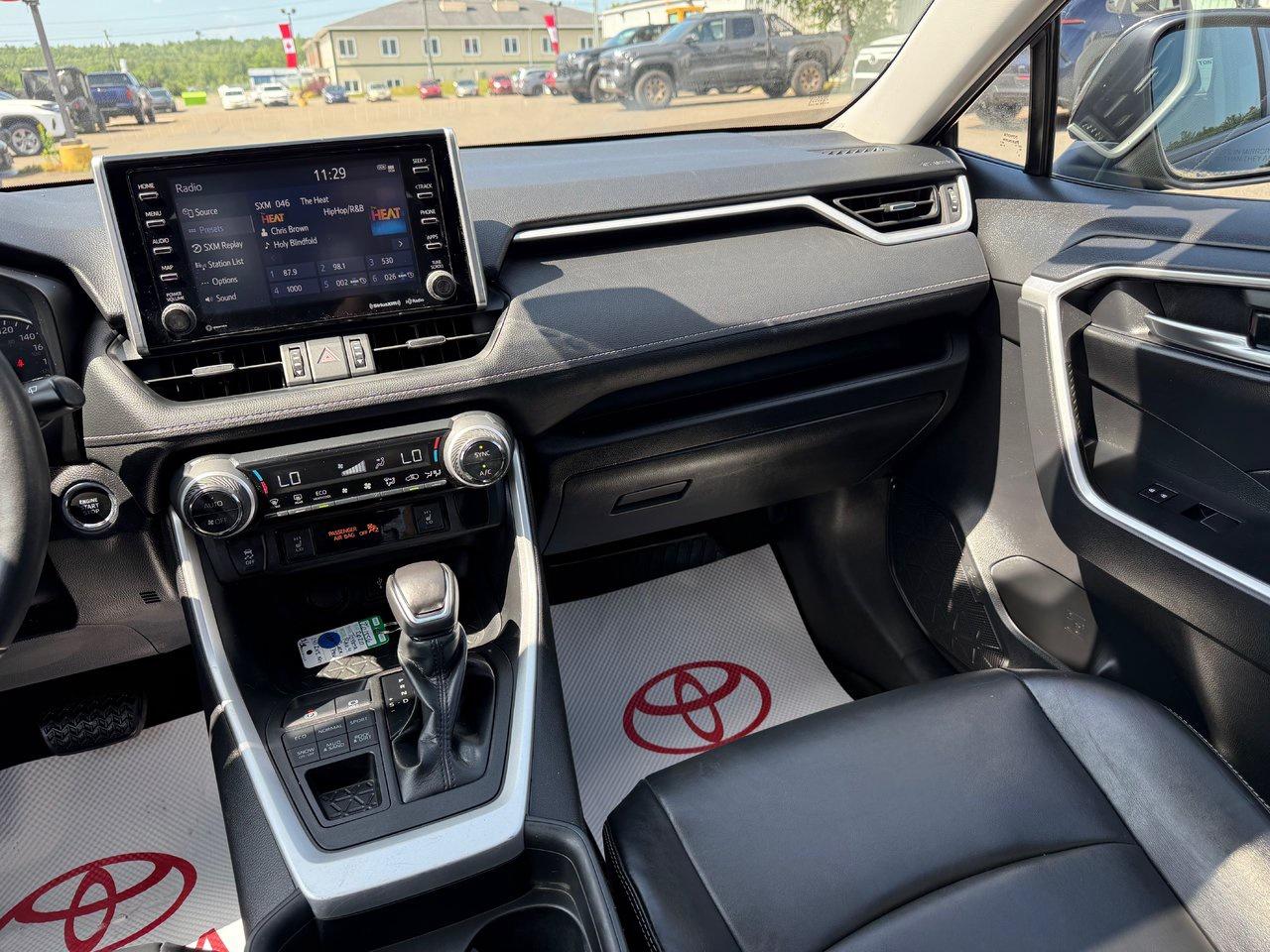 2020 Toyota RAV4 XLE Photo