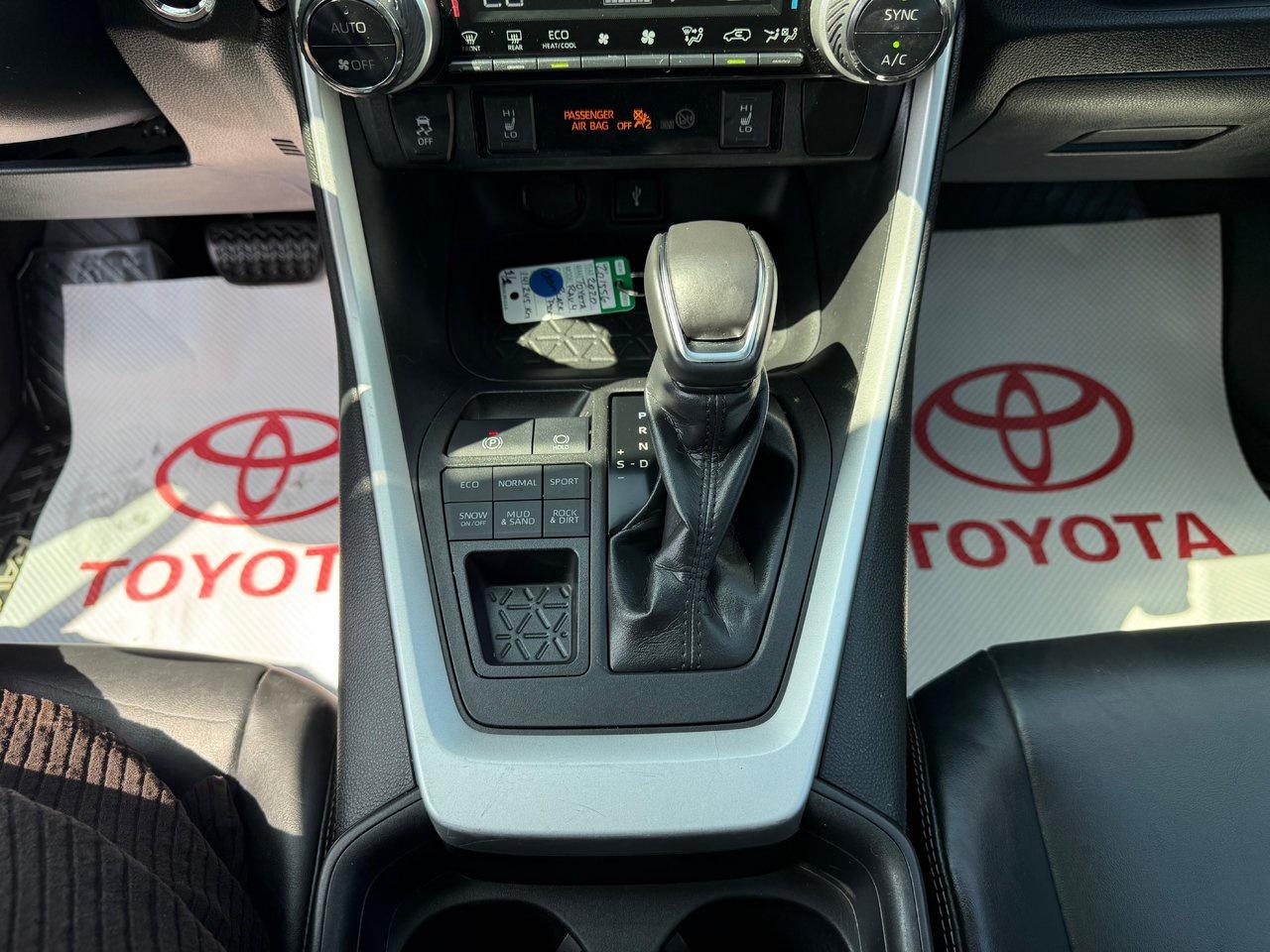 2020 Toyota RAV4 XLE Photo
