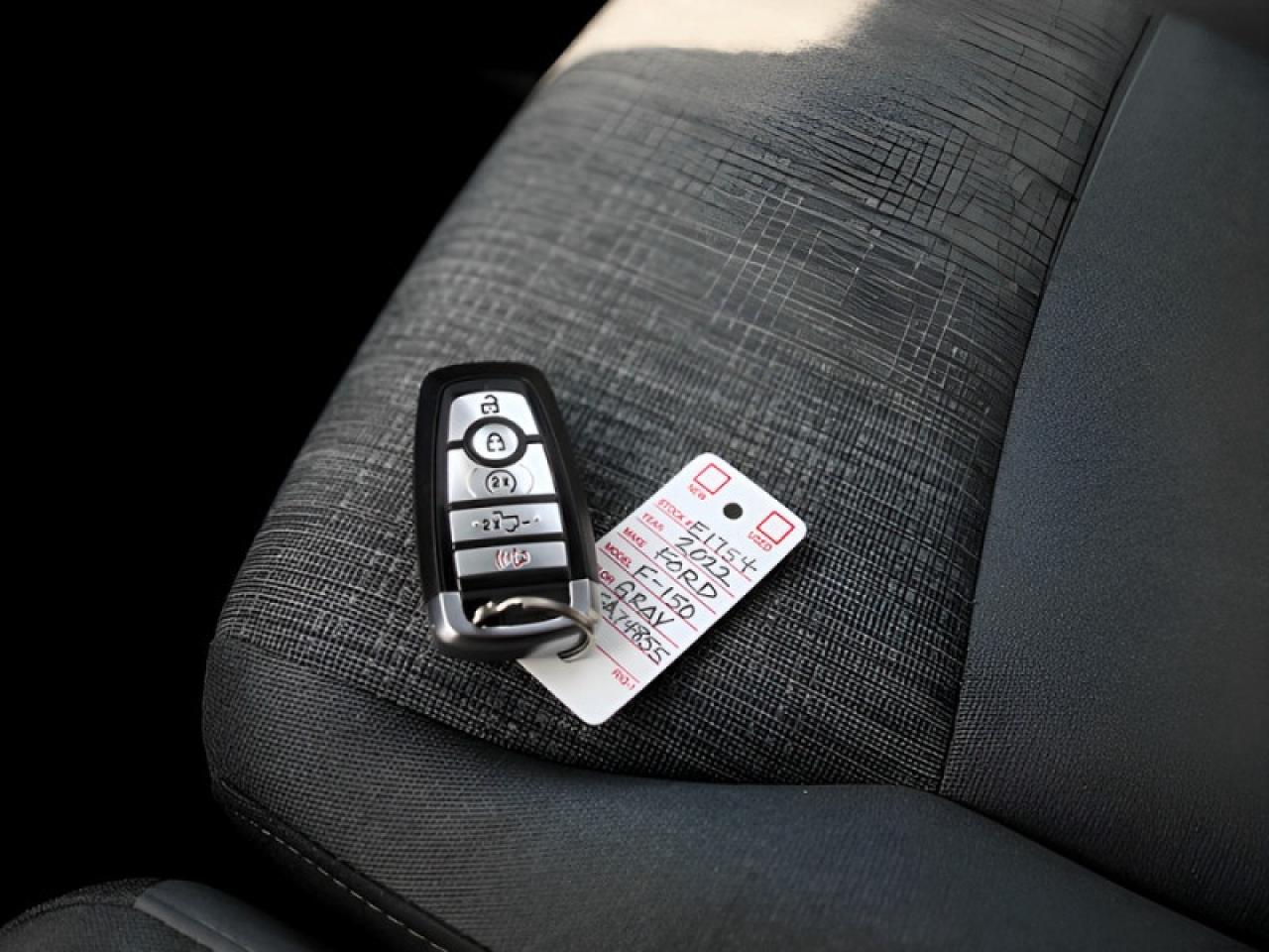 2022 Ford F-150 XLT  **2.7L ECOBOOST - EQUIP. GROUP 302A** Photo