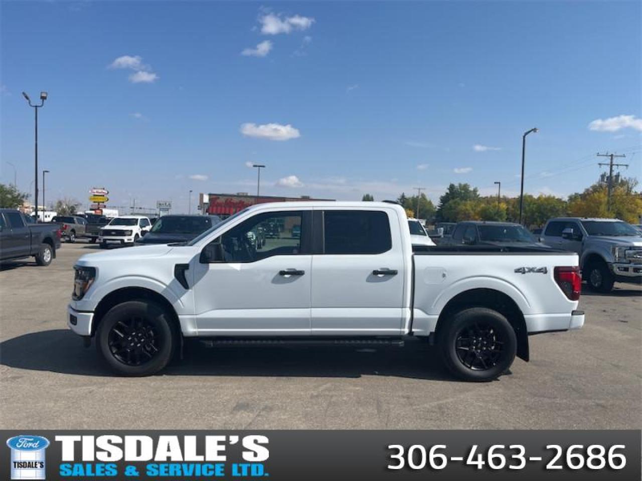 New 2025 Ford F-150 STX  - 20