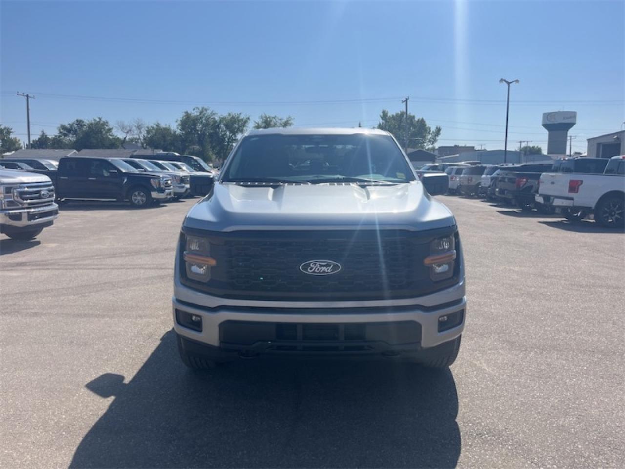 2025 Ford F-150 STX  - 20" Wheels Photo