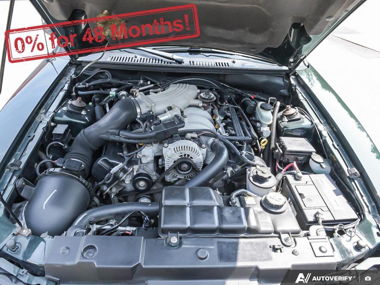 2001 Ford Mustang GT Photo