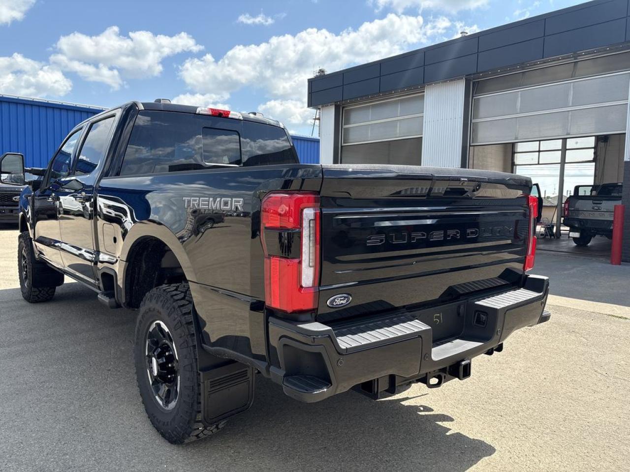 2025 Ford F-350 Super Duty SRW PLATINUM 6.8' Box 713A Photo4
