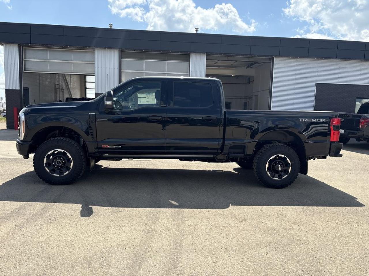 2025 Ford F-350 Super Duty SRW PLATINUM 6.8' Box 713A Photo3