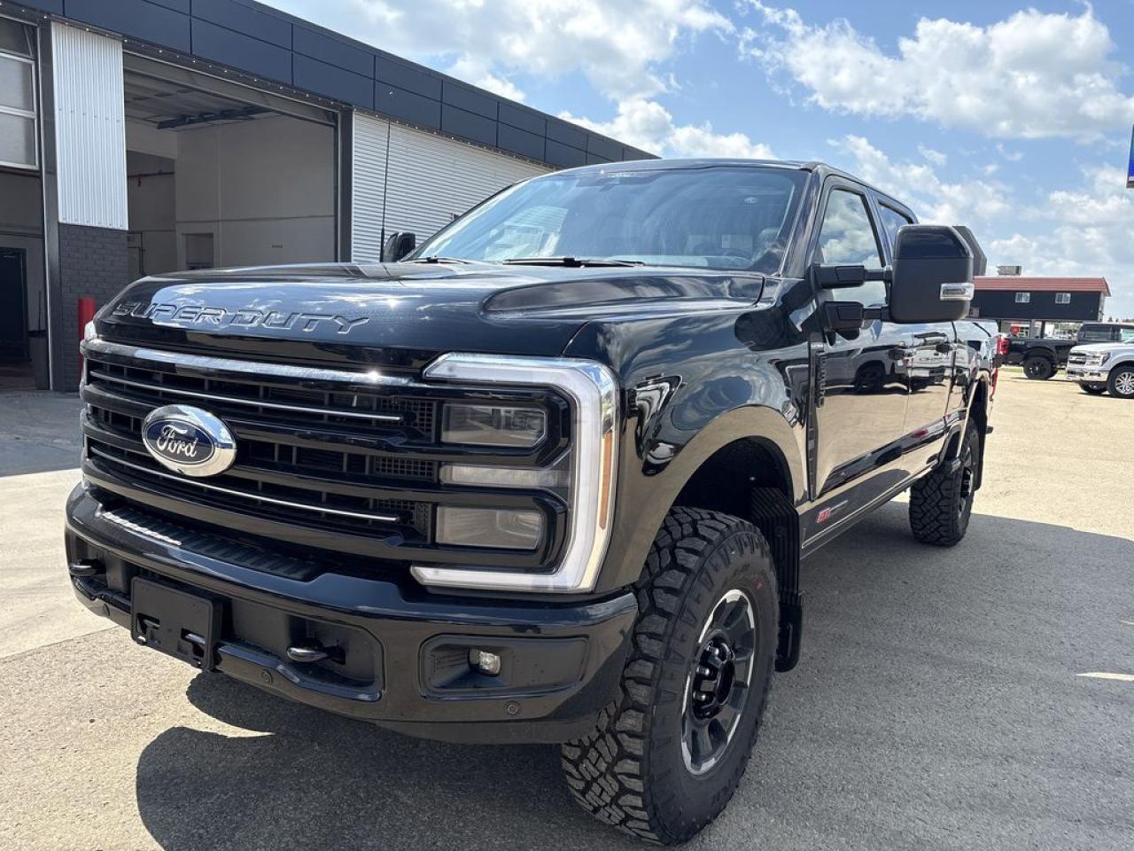 2025 Ford F-350 Super Duty SRW PLATINUM 6.8' Box 713A Photo1