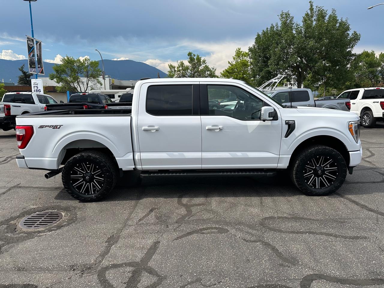 2022 Ford F-150 Lariat Photo