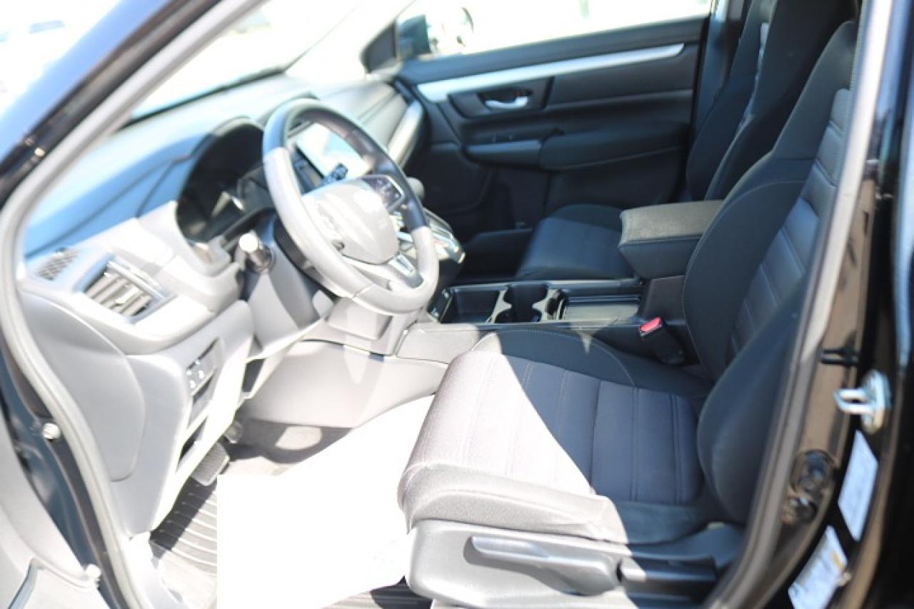 2020 Honda CR-V LX Photo